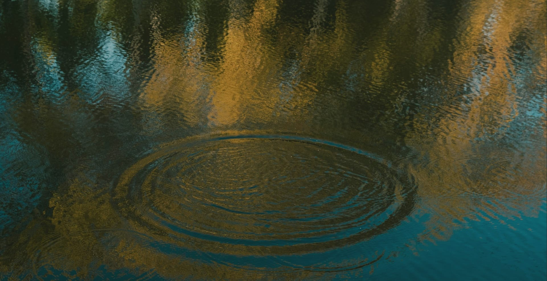 Civitas Barristers Chambers